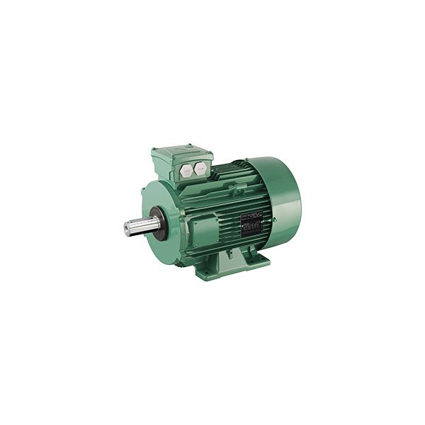 Electric motor Leroy Somer LSES200LR