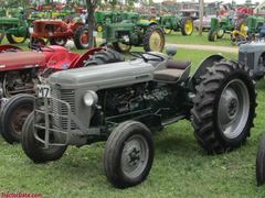 Ferguson TE35
