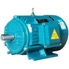 Fasco Y2HE-100L-6