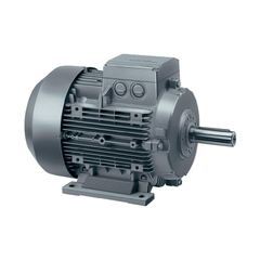 Siemens 1LA5189-2AA96-ZN08