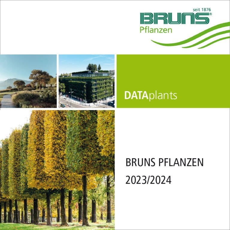 Bruns PPA 2.0L