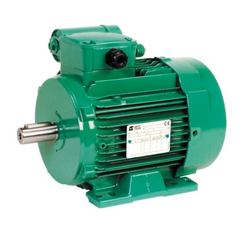 Leroy Somer FLSES160L