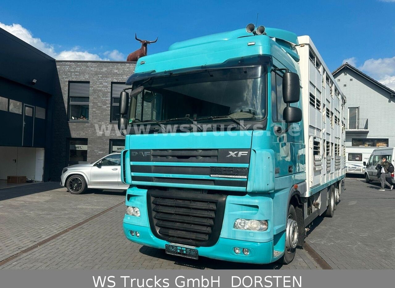Truck DAF FAC XF 105