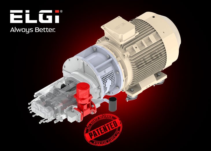 Electric motor Elgi X100088