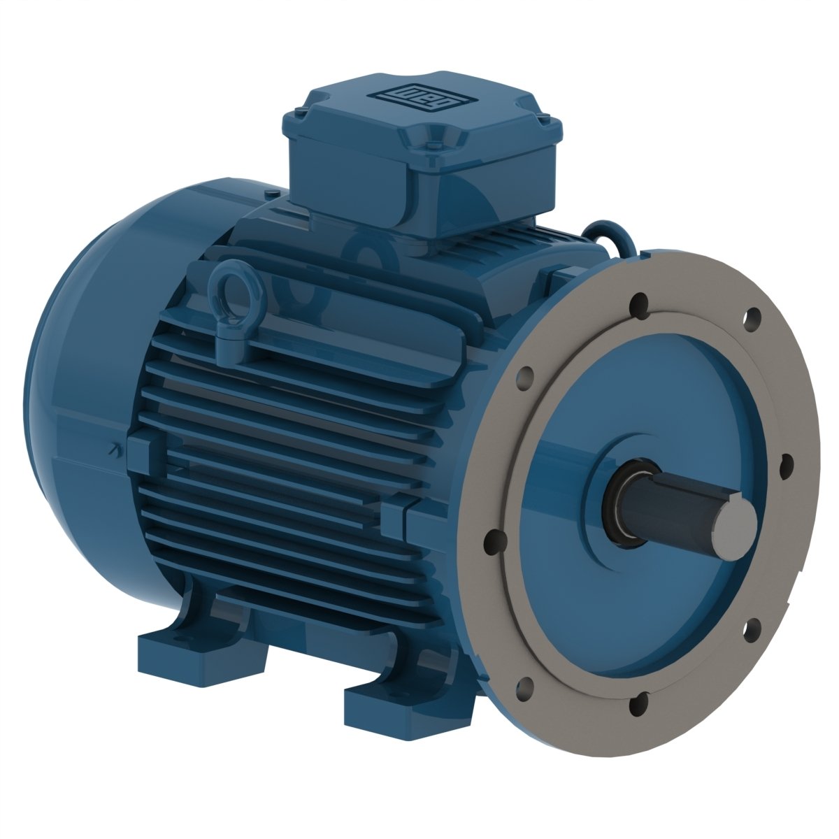 Electric motor Qin Wei Electric MCE1-250S-2P
