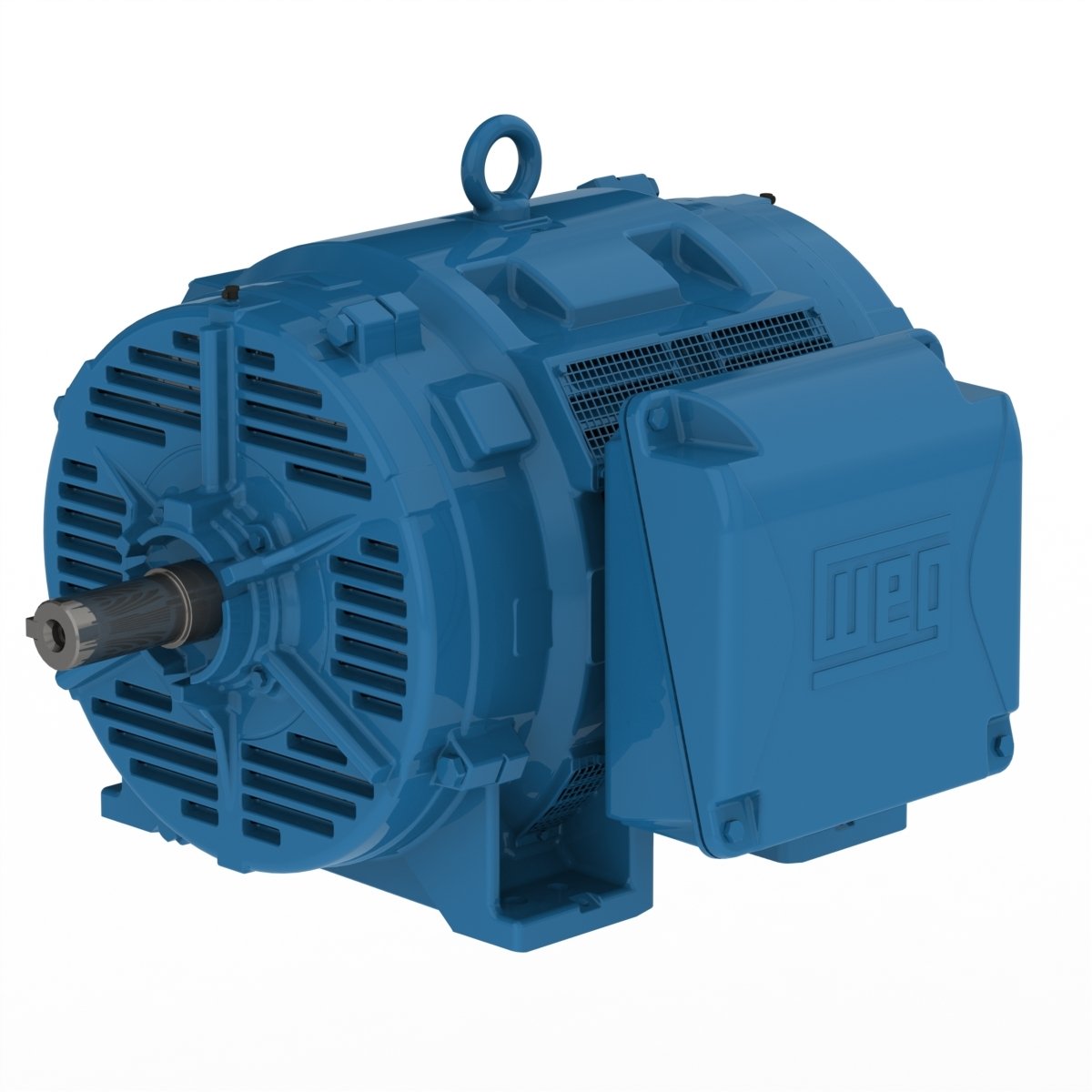 Elektromotor WE 1D802-4