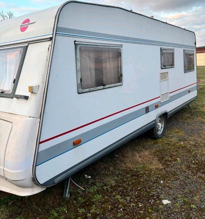 Trailer Buerstner 5364