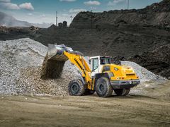 Cummins ISL9 330 EV