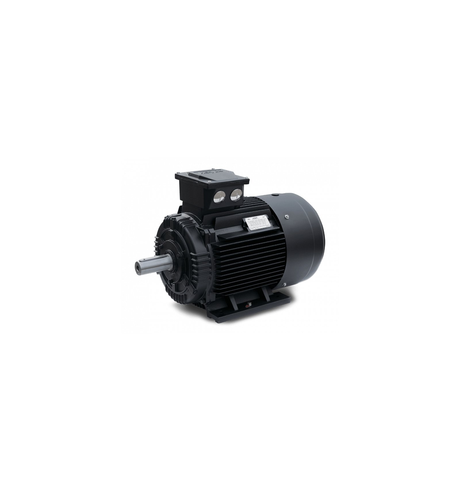 Electric motor Hoyer HMC3 200L2-6
