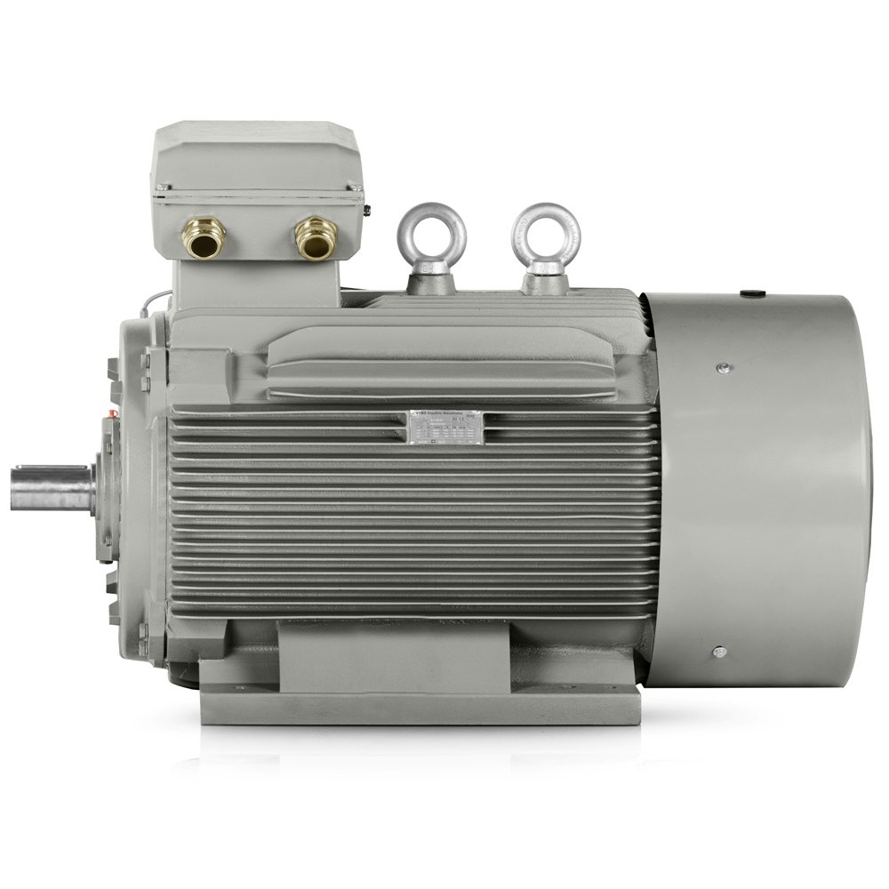 Electric motor Wonder SWE 355M1-6