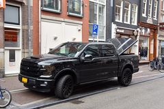 Ford F-150 PLATINUM LOBO