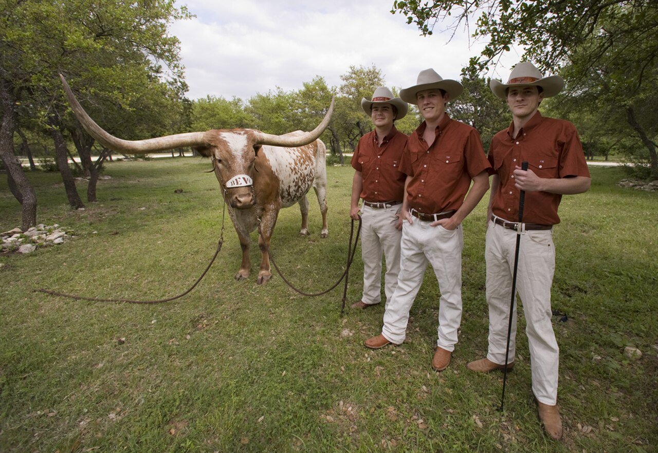Trailer BEVO AT 2500