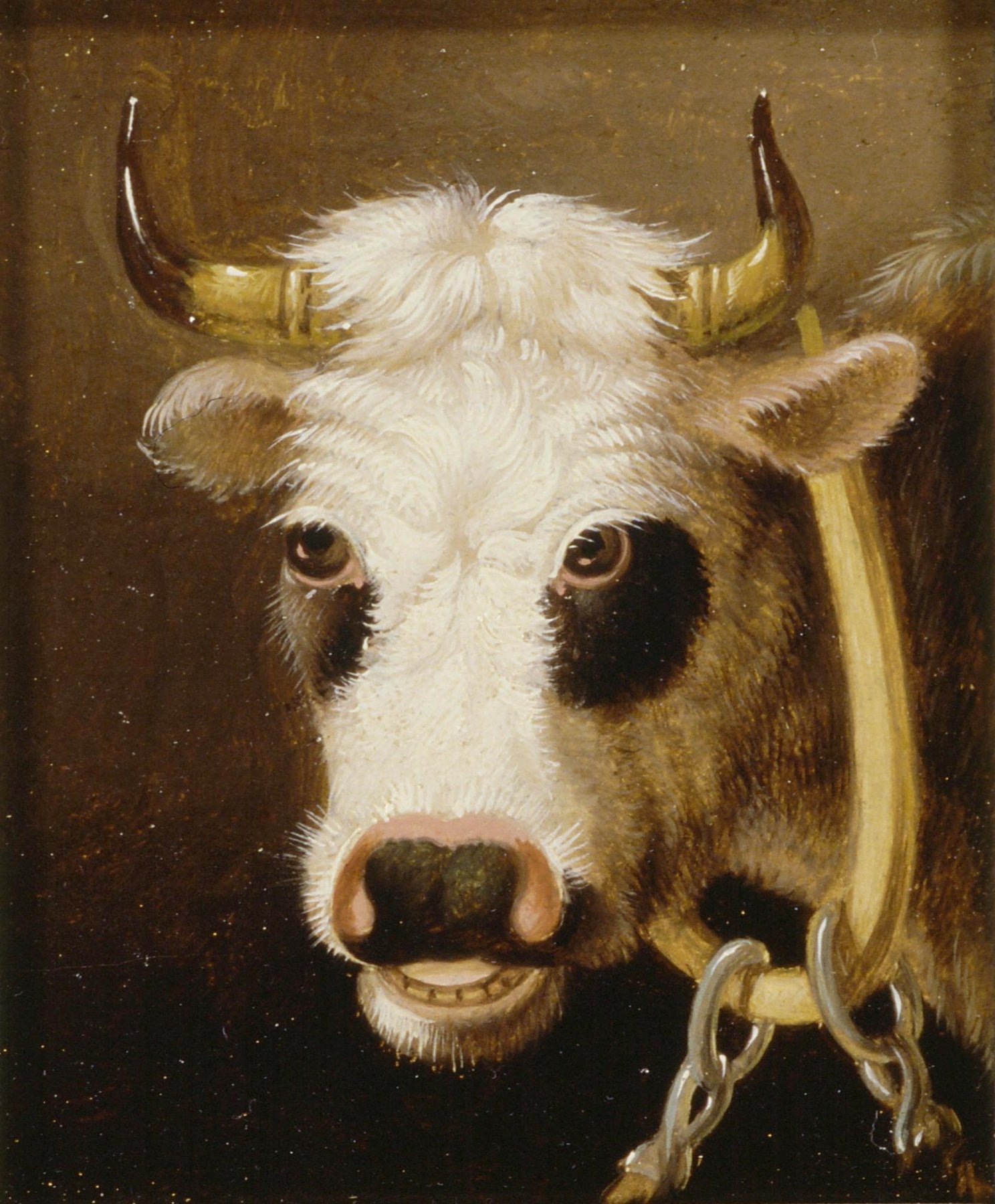 Reo ONBEKEND