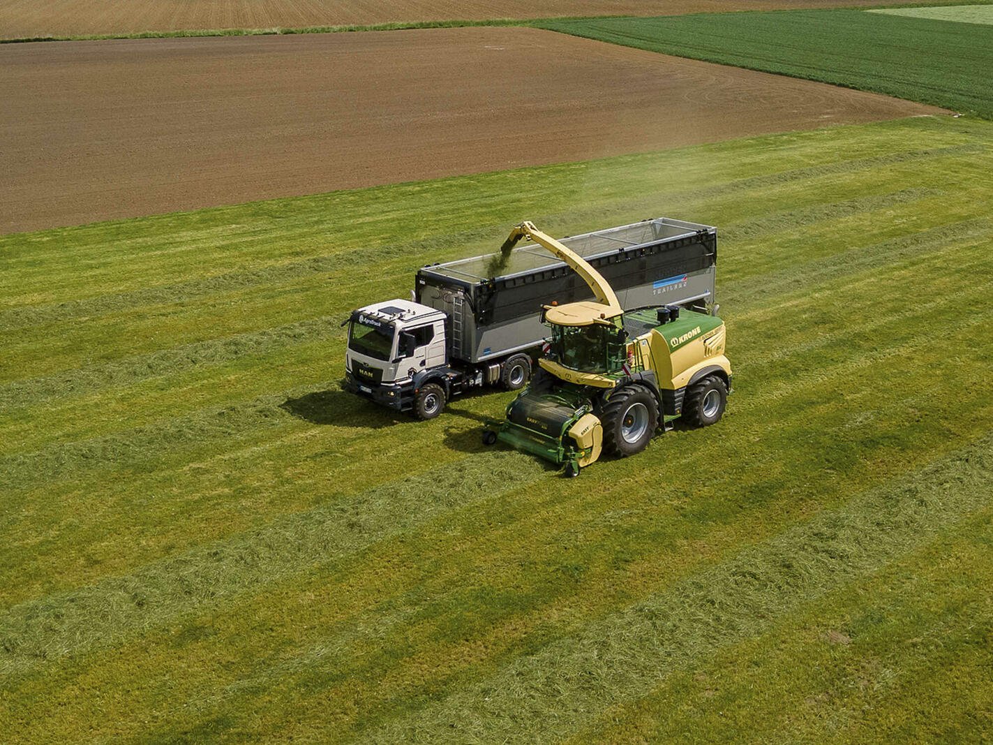 Trailer Krone TKS