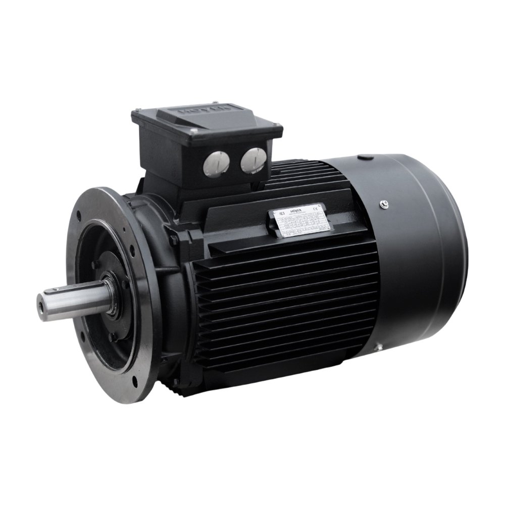 Electric motor Hoyer HMA2 90S-2
