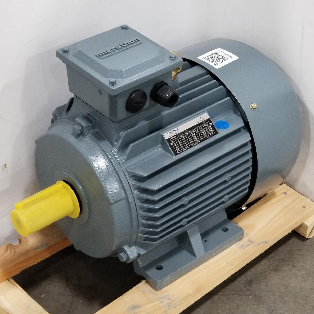 Electric motor Marathon MAR3-132S-4