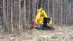 Komatsu TN735D feller buncher