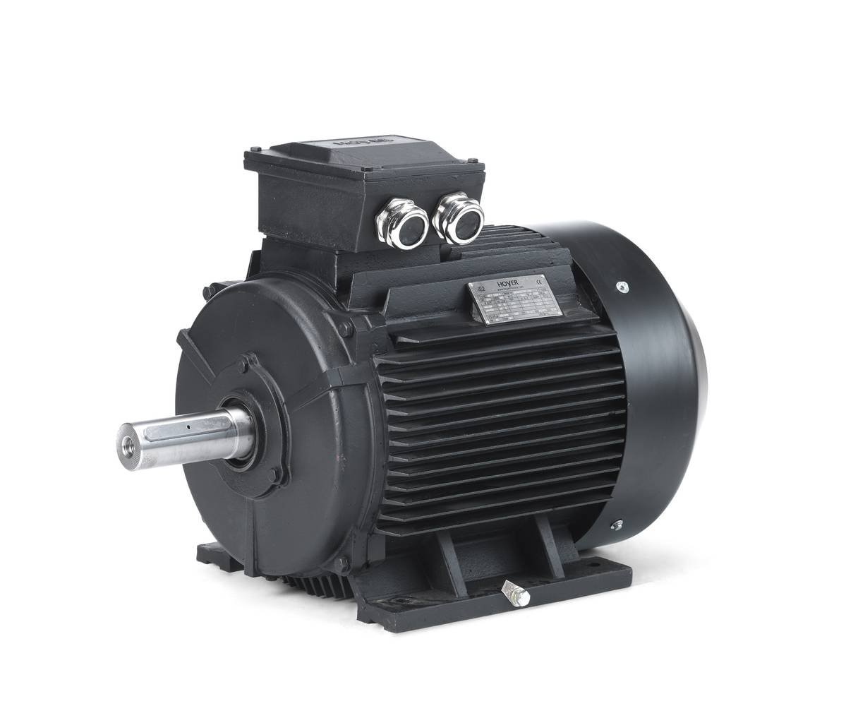 Electric motor Hoyer HMC3 200L1-6