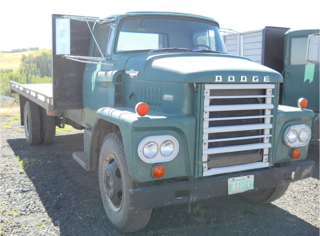 Lastwagen Dodge D 60