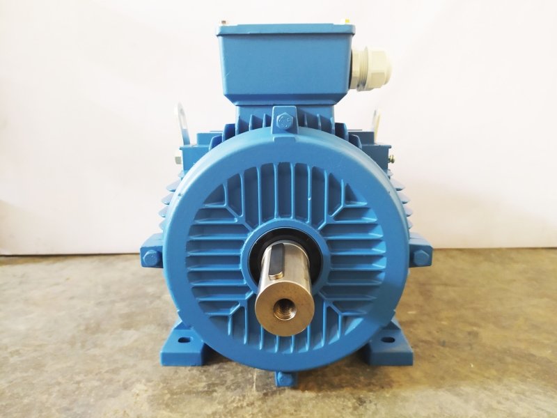 Electric motor Bjem GX 132S-4