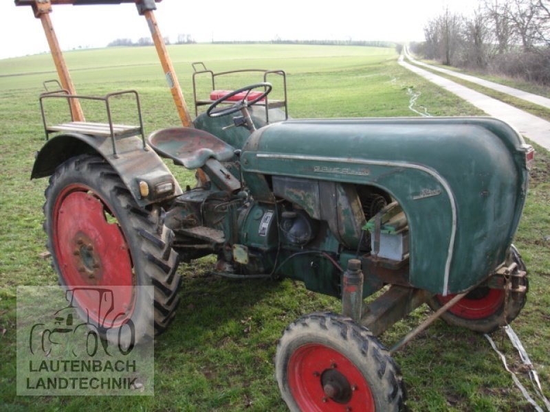 Traktor Allgaier AP16