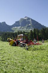 Pöttinger AlpinHit 44 N spezial