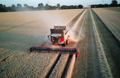 Massey Ferguson MF 29 XP