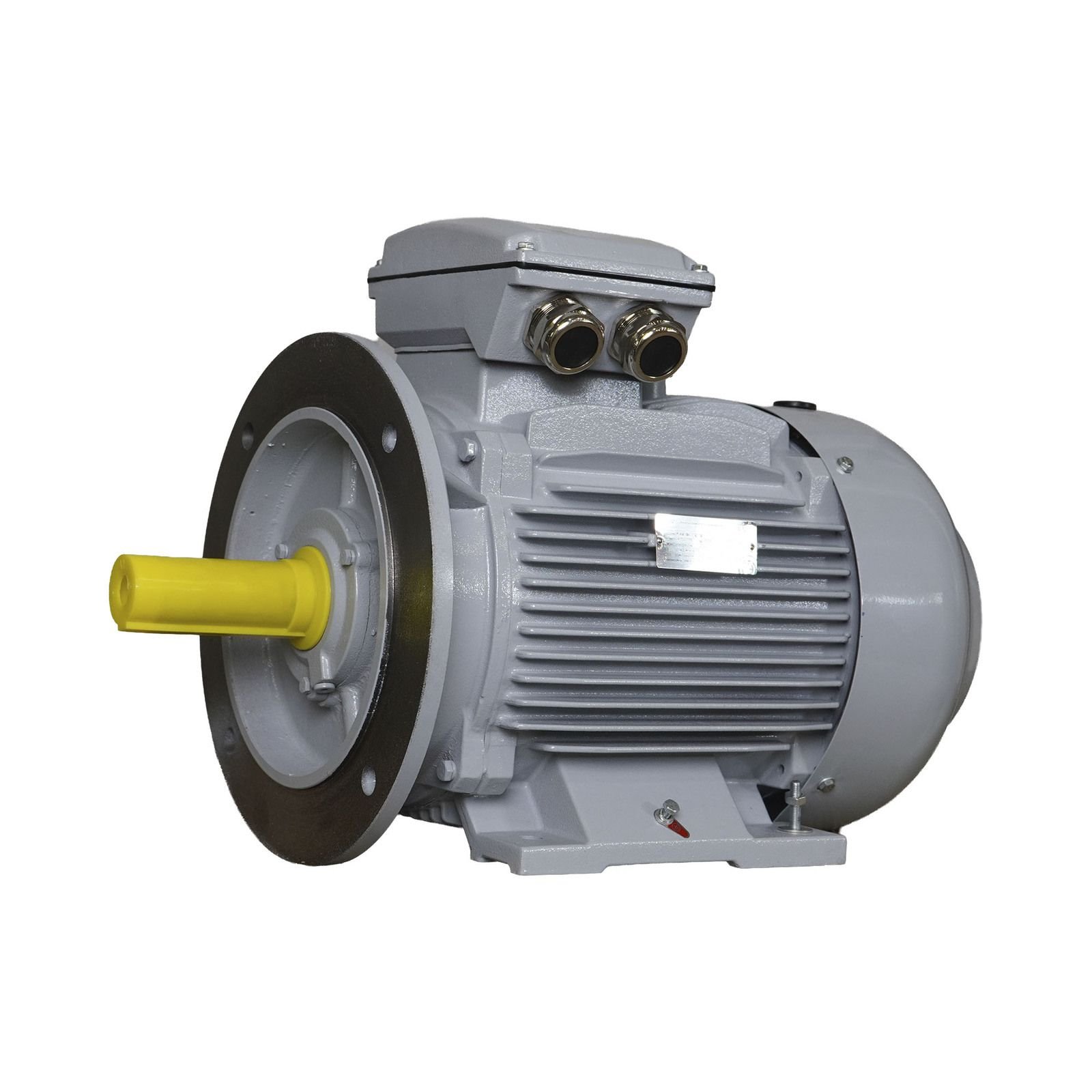 Electric motor Trojan 11MD1C160MA-2