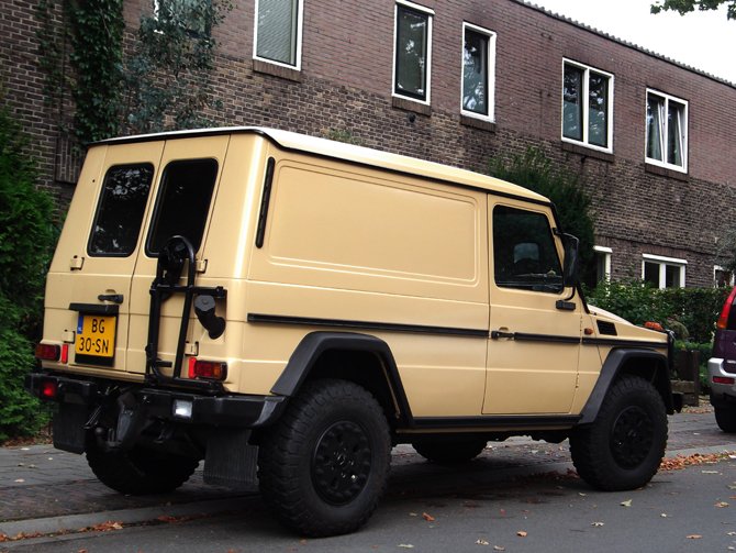 Van Mercedes Benz 300GD
