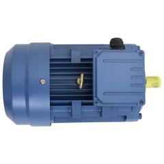 Rotek RX 4 Kw 3 Phase 8 Pole Motor