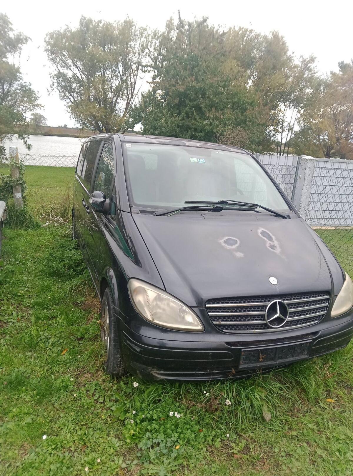 Van Mercedes Benz 230 L